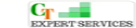 CT Expert Services logo showcasing premium content writing services for professional service providers.