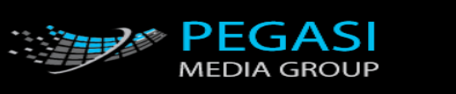 Pegasi Media Group logo representing premium content writing services for database marketing solutions.