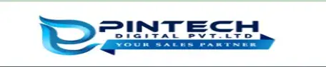 Pintech Digital company logo representing digital marketing, fintech solutions, and business growth.